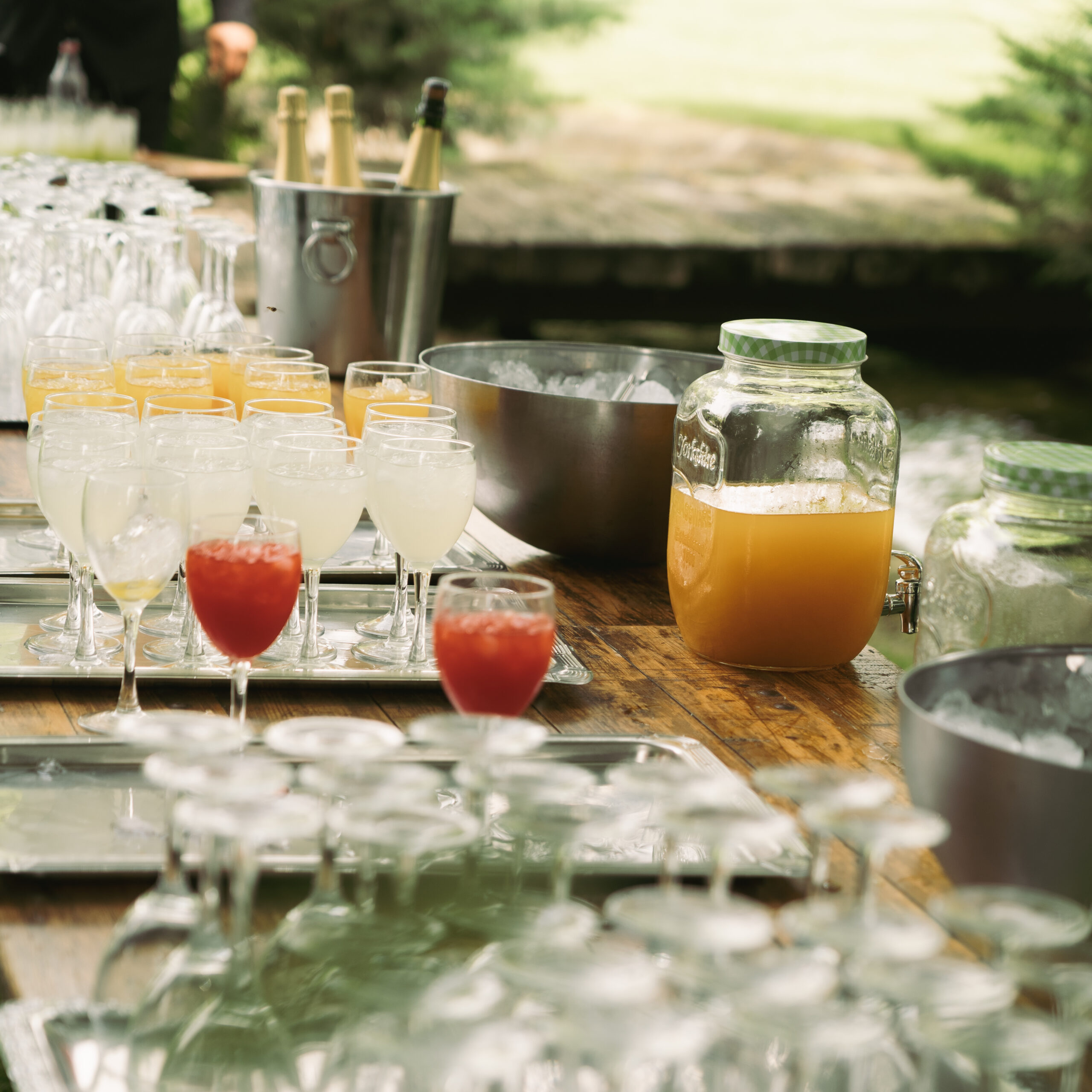 Aperitiu al jardí